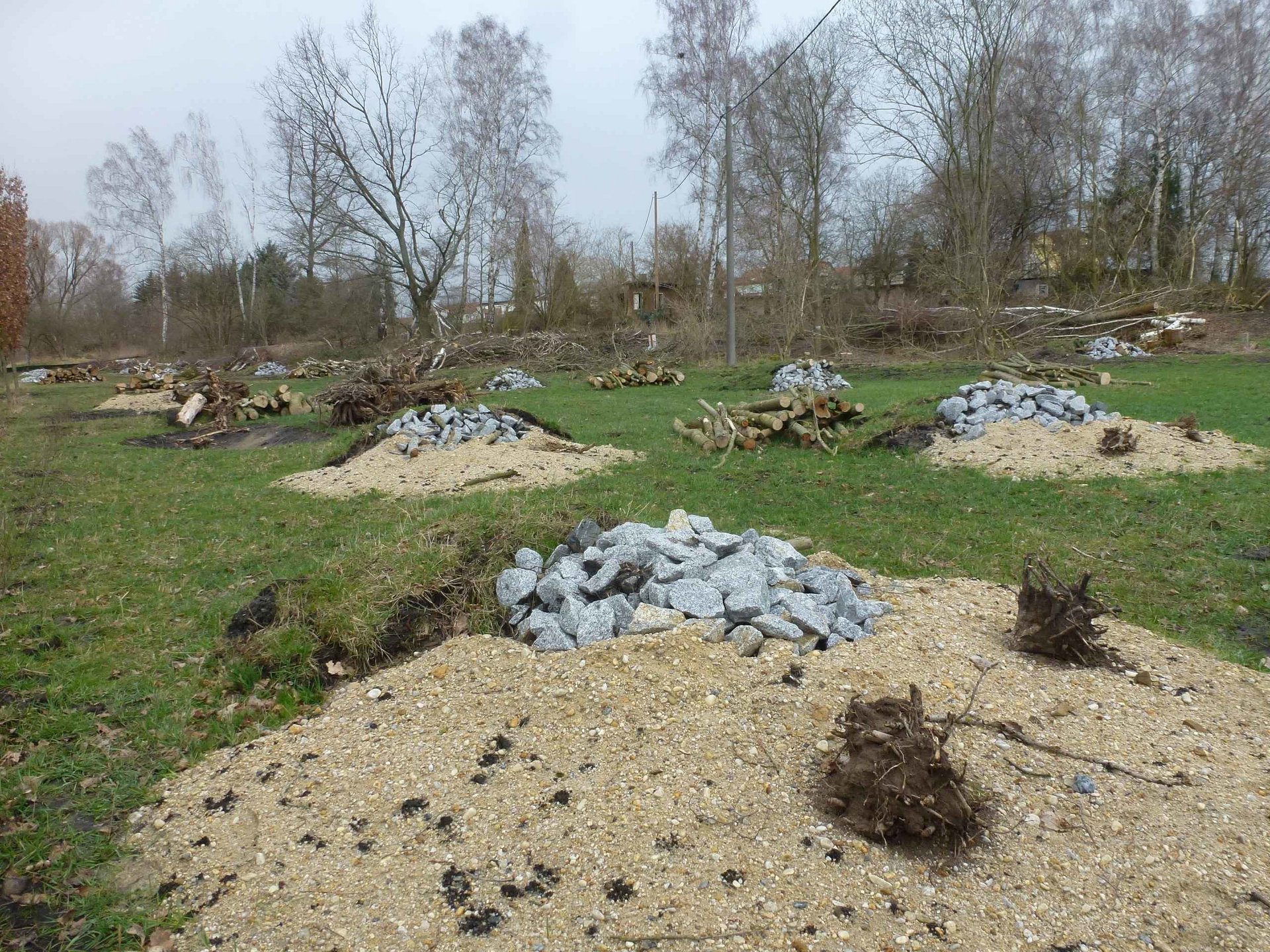 Ersatzhabitat für Zauneidechsen