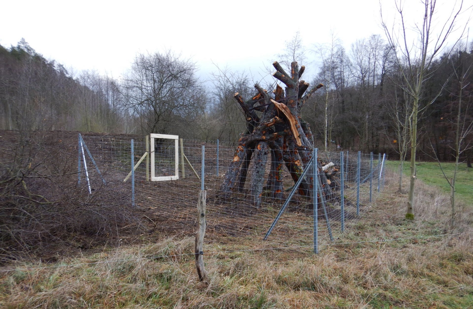 Totholzpyramide für holzbewohnende Käfer